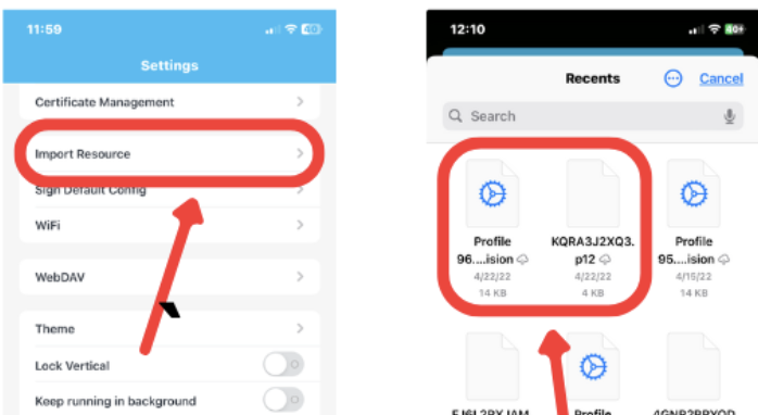 Complete Import ESign IPA iOS